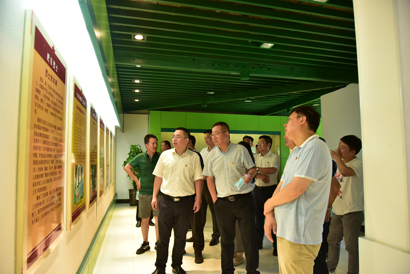 市政分公司黨總支、合肥市重點(diǎn)局直屬黨委第二黨支部聯(lián)合開展主題黨日活動(dòng)3